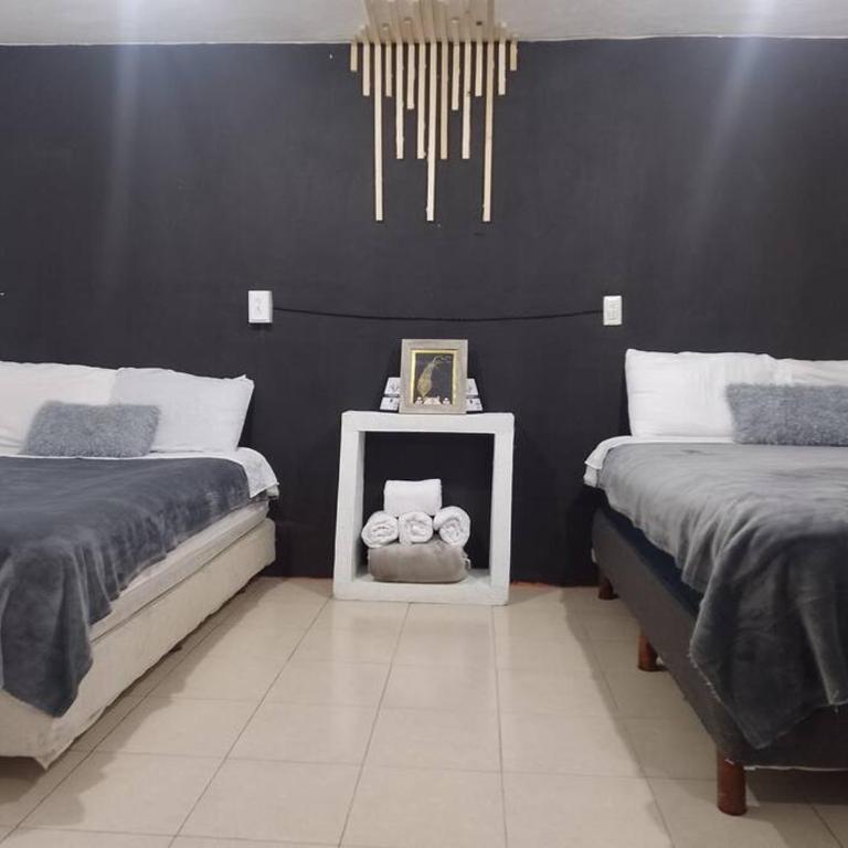 Hermoso Loft a 15min AICM - One-Bedroom Apartment - 1