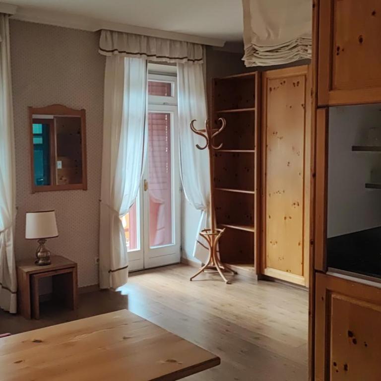 Appartaments Lavaredo - Apartamento Estudio con balcón - 9