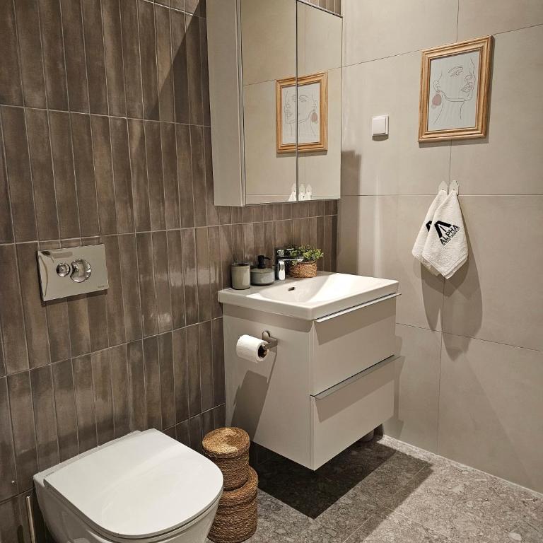 ALPHA LUX - Galerija mall view - Beograd na vodi - Deluks Apartman s 1 Spavaćom Sobom - 53