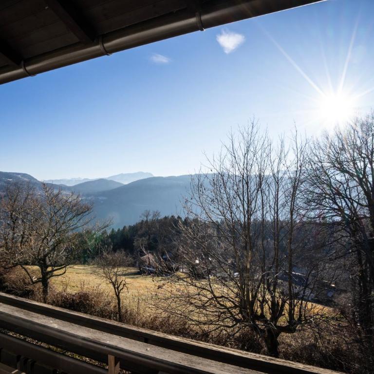 Seeblickmatzelsdorf - Apartment mit Seeblick - 13