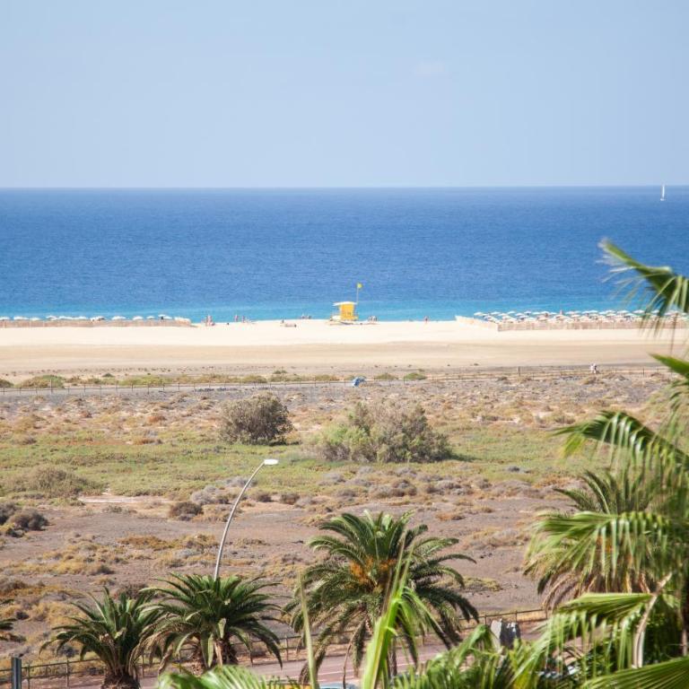 La Brisa Atlántica - Apartamento de 1 dormitorio - 20