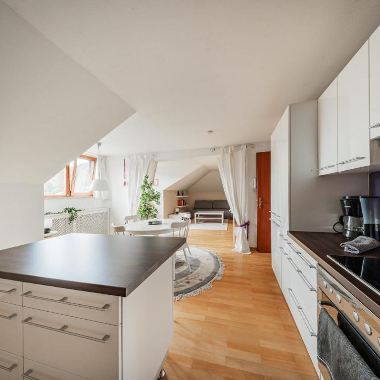 Bergblick Penthouse Apartment - Apartment mit 1 Schlafzimmer - 20