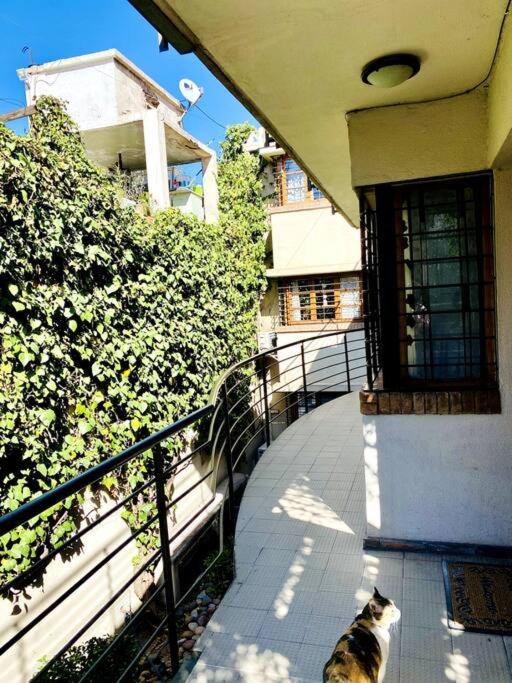 Oasis en la mejor zona de Mendoza - Apartamento de 1 dormitorio - 35