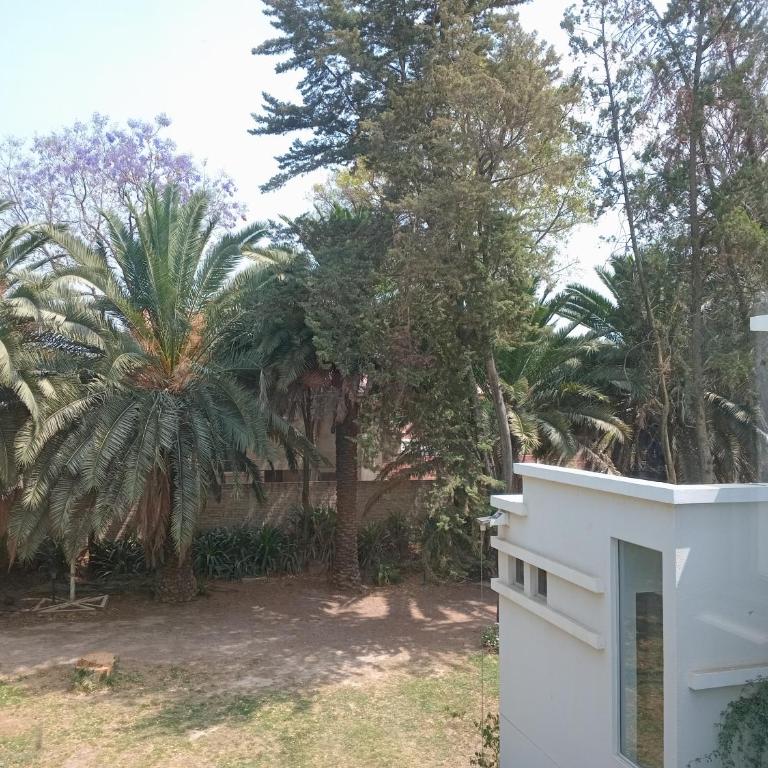 Paraiso Verde Samara - Casa de 4 dormitorios - 2