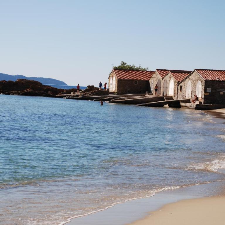 Bel appart saint clair-lavandou - Appartement 1 Chambre - 26