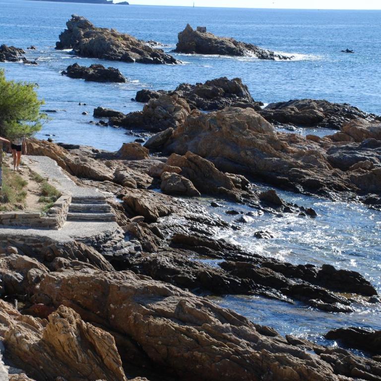 Bel appart saint clair-lavandou - Appartement 1 Chambre - 28