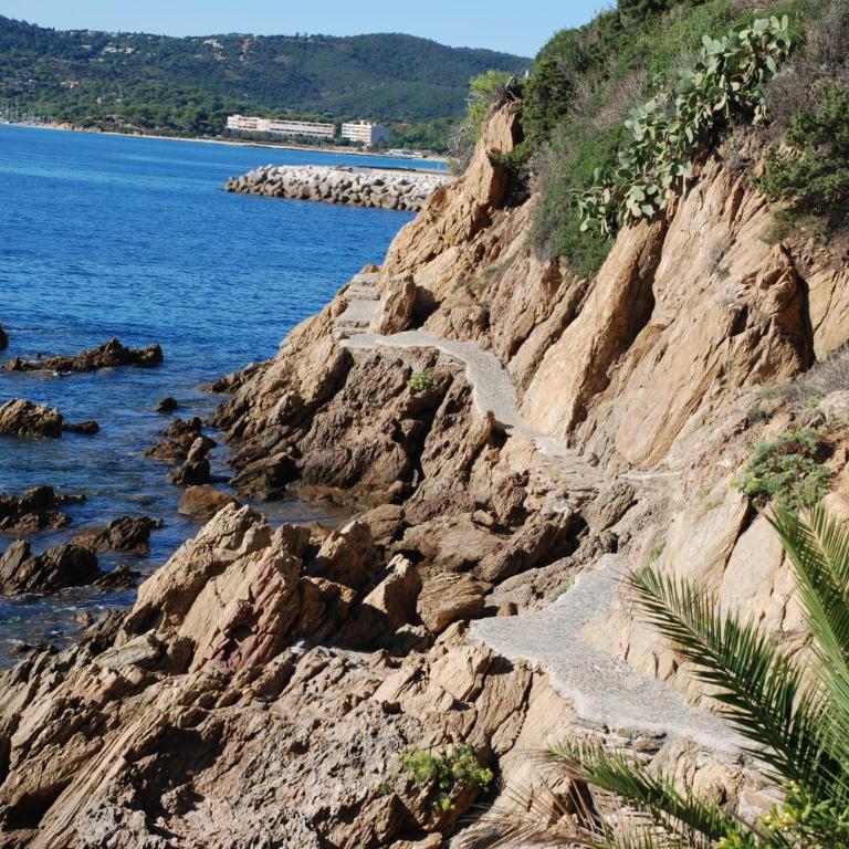Bel appart saint clair-lavandou - Appartement 1 Chambre - 29