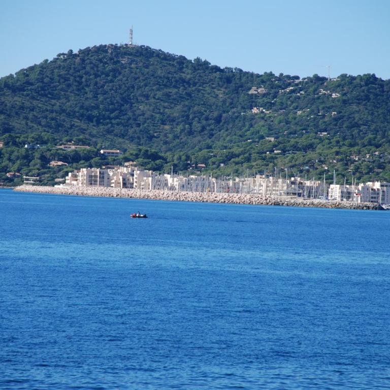 Bel appart saint clair-lavandou - Appartement 1 Chambre - 30
