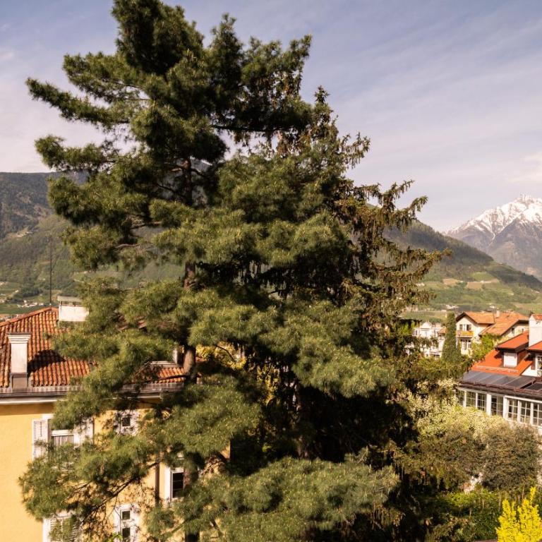 Hotel Villa Laurus - Camera Matrimoniale Standard - Vista - 14