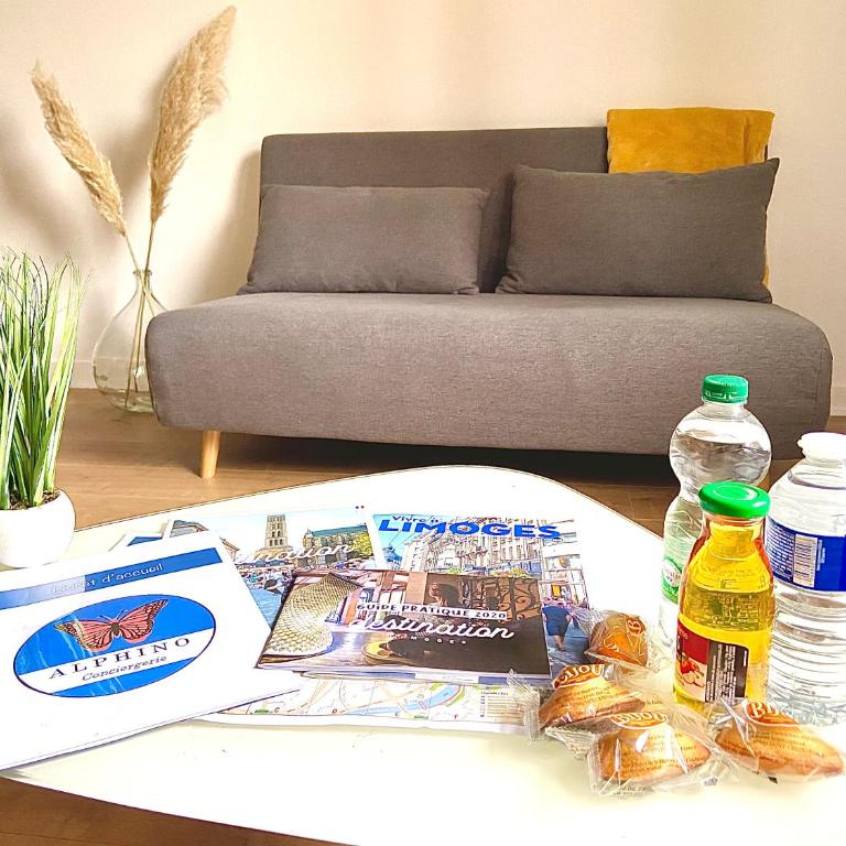 Le Duplex, magnifique centre historique - Appartement - 11