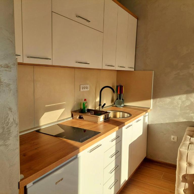 Apartman DIVČI TRON 10 - Apartman sa 1 Spavaćom Sobom - 10
