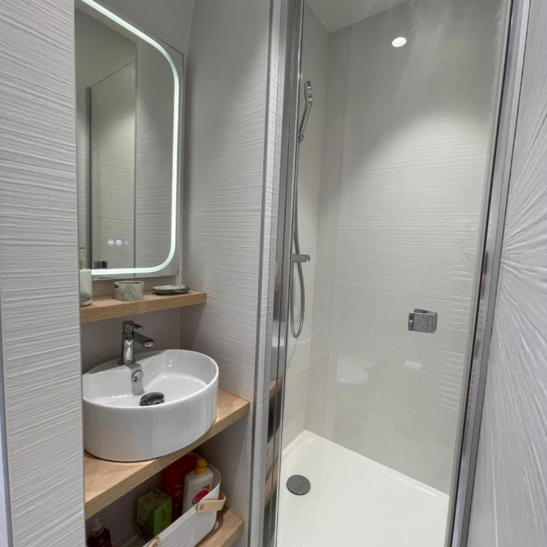 Appartements de charme du Général Leclerc - Place d'Erlon - Hypercentre - Gare - Reims - Appartamento Superior con 1 Camera da Letto - 10