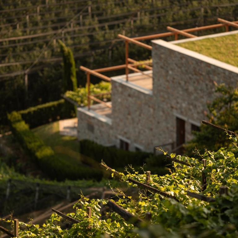 Pergola Residence - Suite avec Terrasse - 65