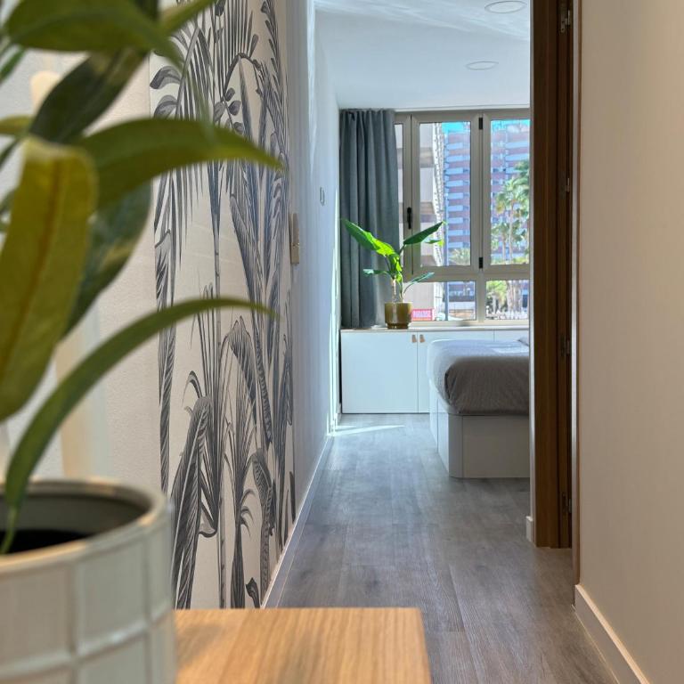 Danubio Estudios 107 - Classic Apartment - 6