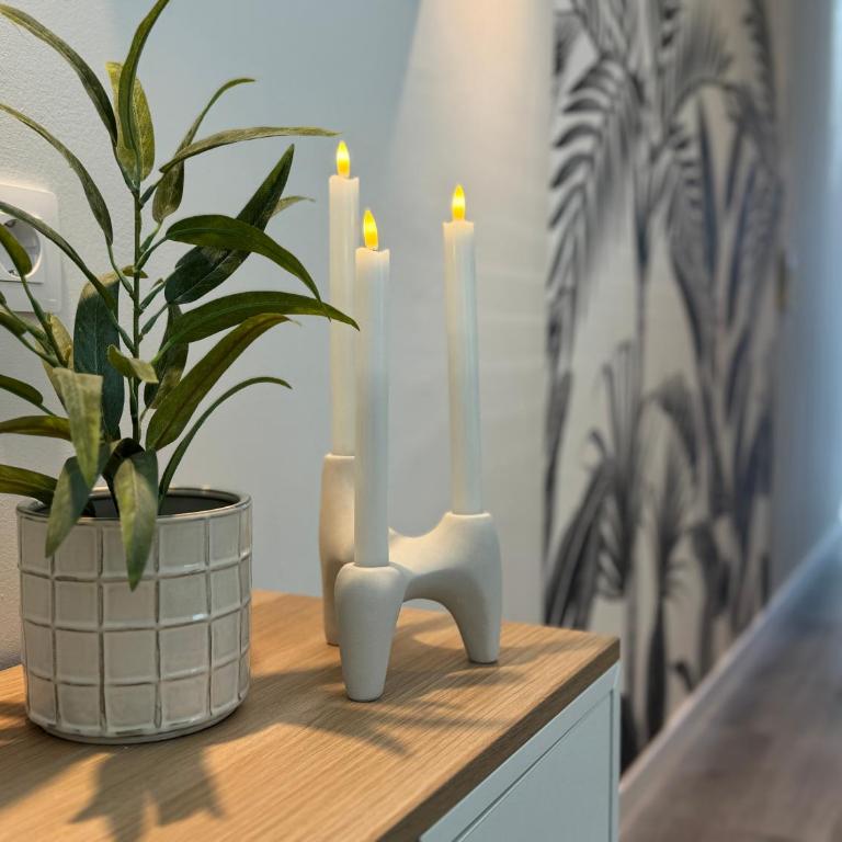 Danubio Estudios 107 - Classic Apartment - 33