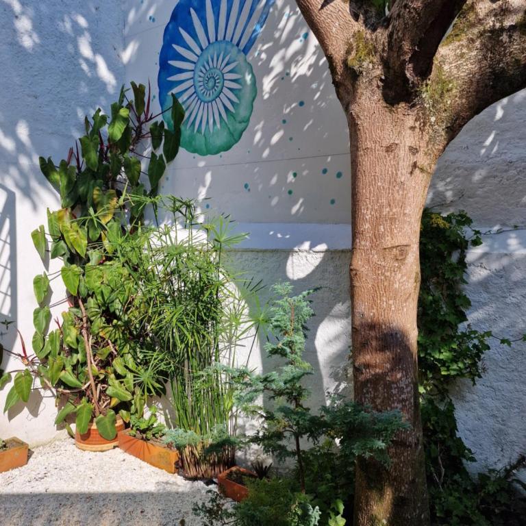 Hotel La Caracola Salento - Habitación Deluxe con cama extragrande - 10