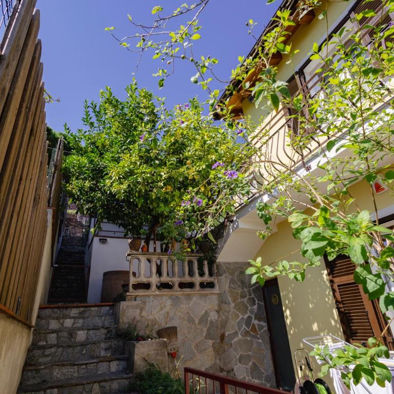 "Lomellina Bay" 10 minuti a piedi dal mare - Two-Bedroom Apartment with Garden View - 3
