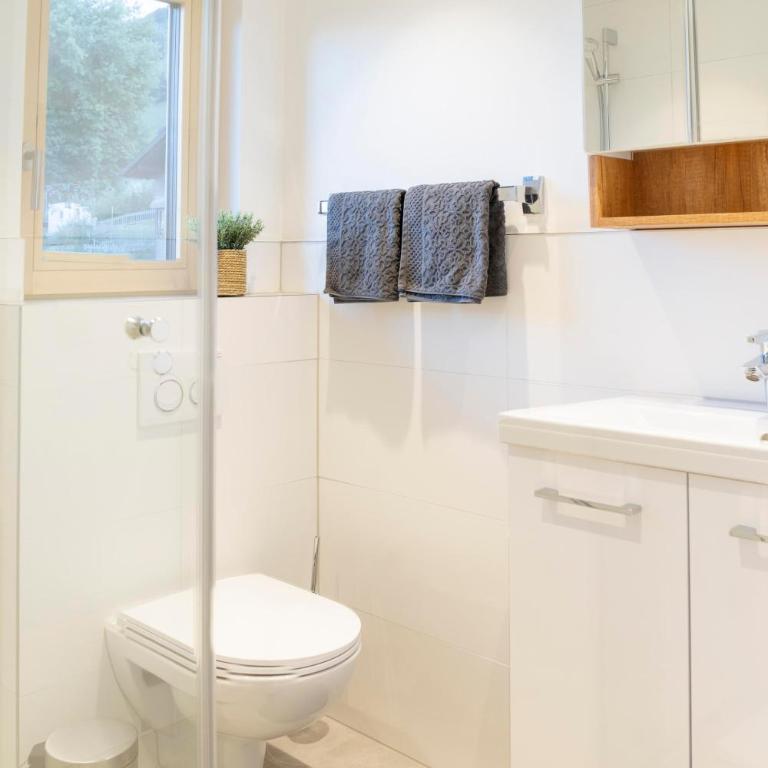 Haus Limat - Appartement 1 Chambre avec Douche - 8