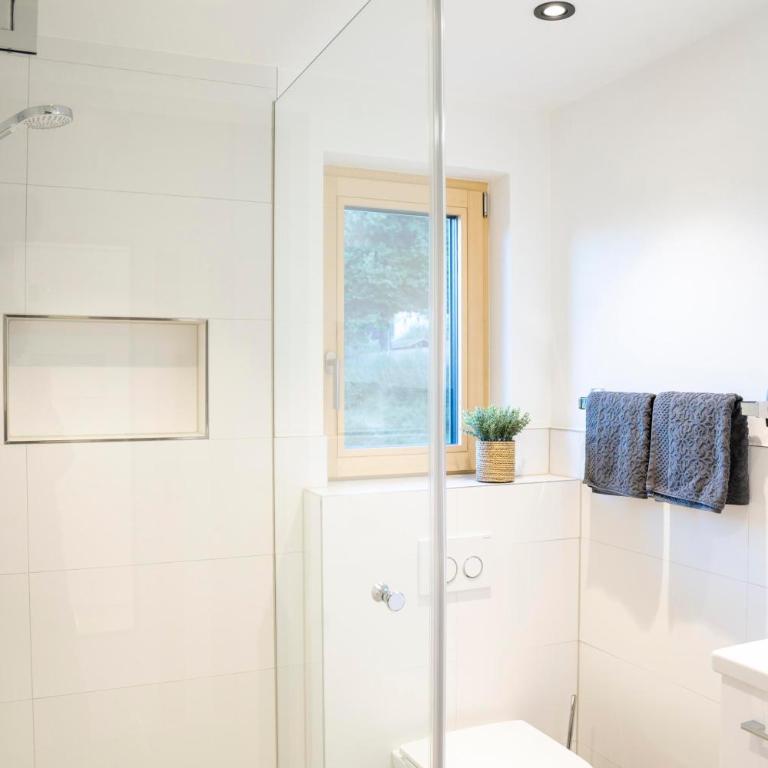 Haus Limat - Appartement 1 Chambre avec Douche - 9