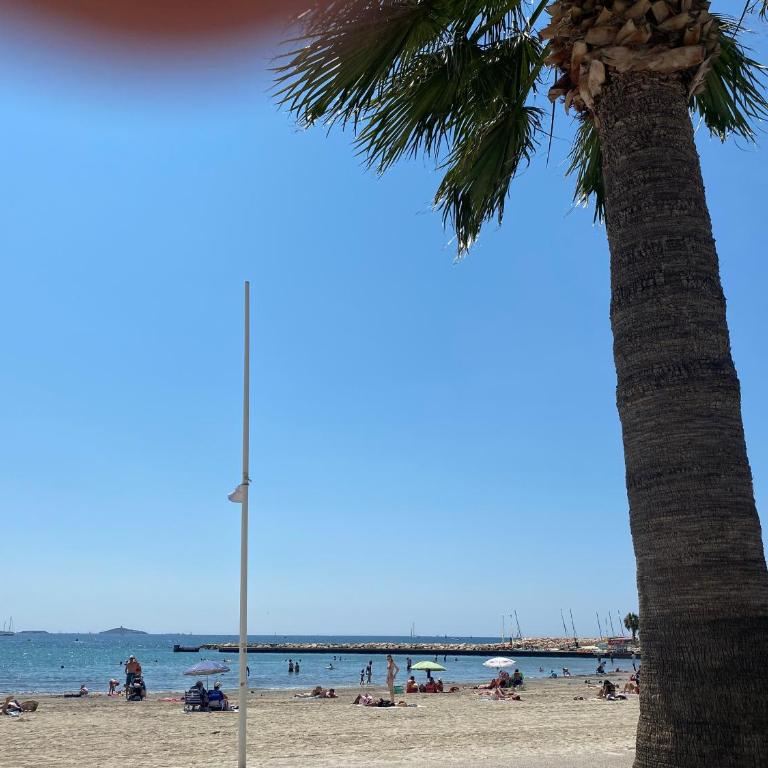 l'appart de la mer Sanary, confort absolu, tout à pied, port, plage, clim et garage privé - Apartamento de 1 dormitorio - 23
