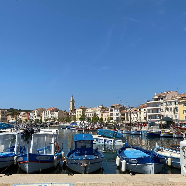 l'appart de la mer Sanary, confort absolu, tout à pied, port, plage, clim et garage privé - Apartamento de 1 dormitorio - 13