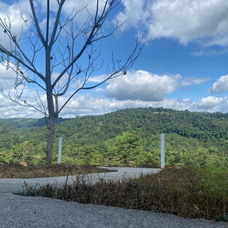 Casa de Campo - Piscina, Rio Eden de Puerto Quito - Three-Bedroom House - 11
