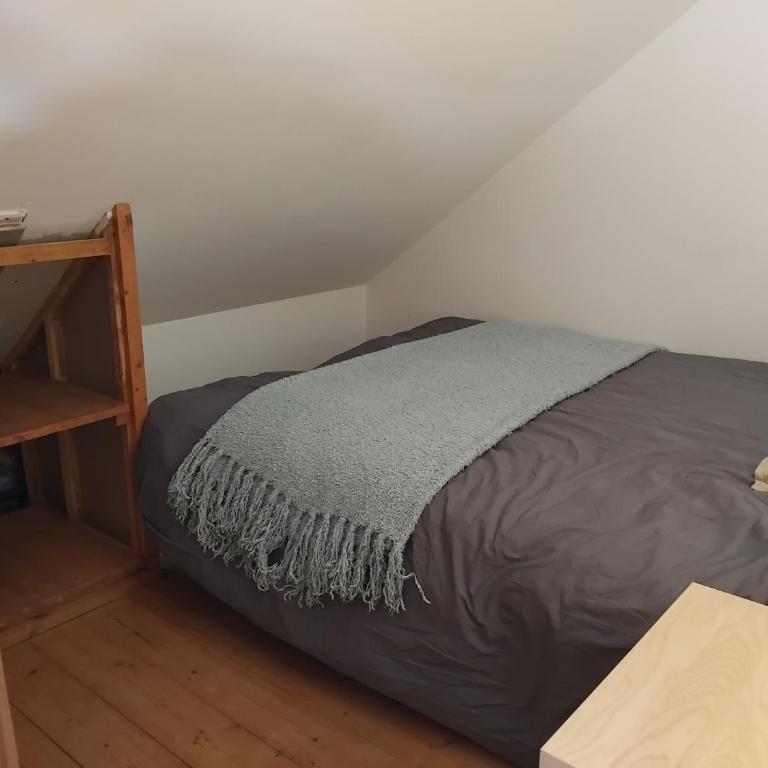 Studio au pied de l'alpe d'huez - Appartamento con 1 Camera da Letto - 12