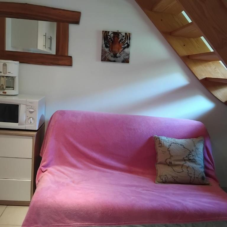 Studio au pied de l'alpe d'huez - Appartamento con 1 Camera da Letto - 4