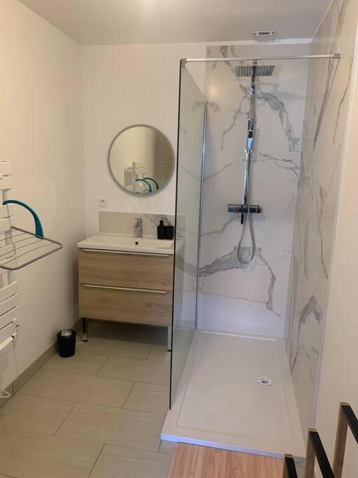 Appartement Lion de Flandres - Appartement 1 Chambre - 10