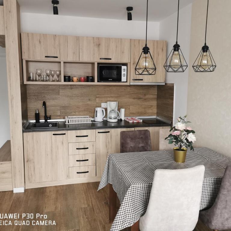 Bela Idila - Kopaonik - Apartman sa 1 Spavaćom Sobom - 10