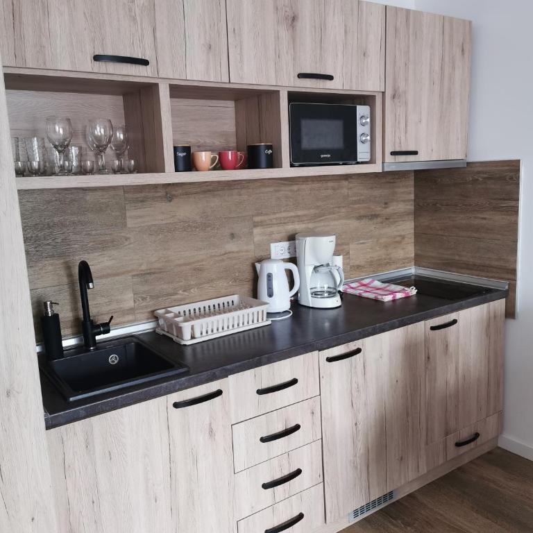Bela Idila - Kopaonik - Apartman sa 1 Spavaćom Sobom - 11
