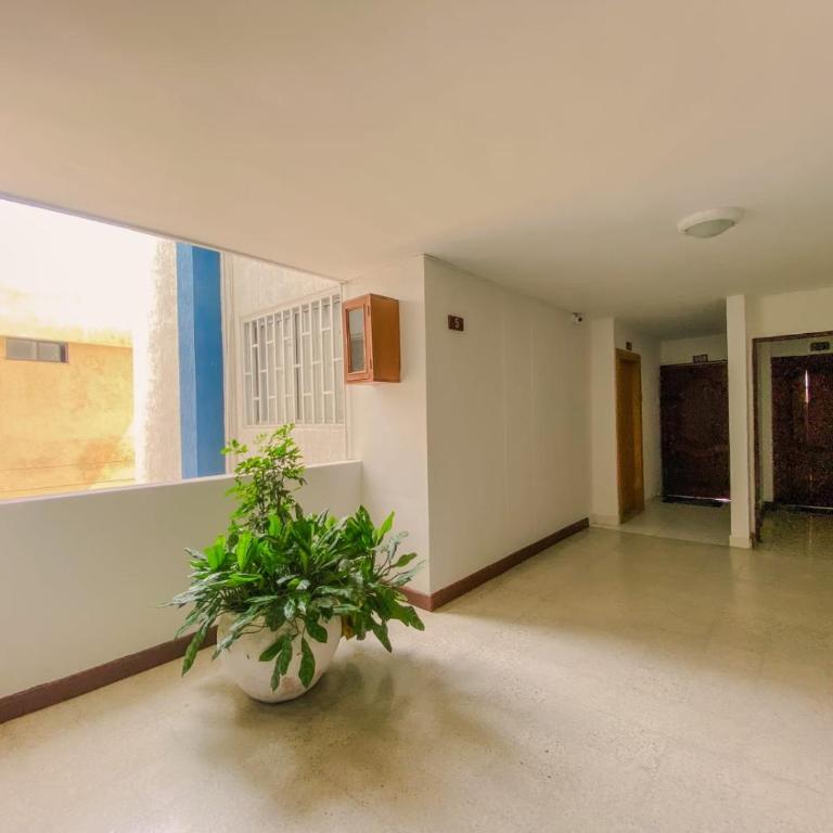 Cielito Azul - Apto de 1 Alcoba en El Rodadero - Apartamento de 1 dormitorio - 7