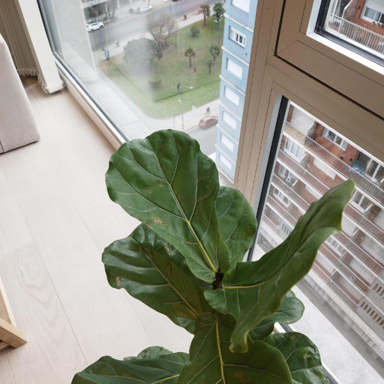 Altamar - Apartamento de 1 dormitorio - 9