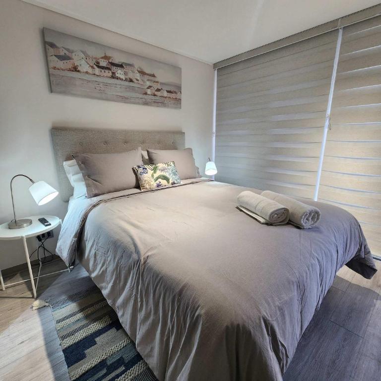 HOM I Amplio e Inmejorable Depto 2D2B 4PAX Santiago - Apartamento - 11