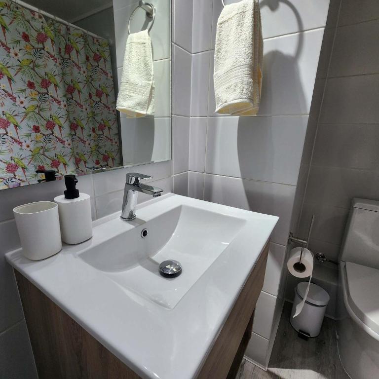 HOM I Amplio e Inmejorable Depto 2D2B 4PAX Santiago - Apartamento - 30