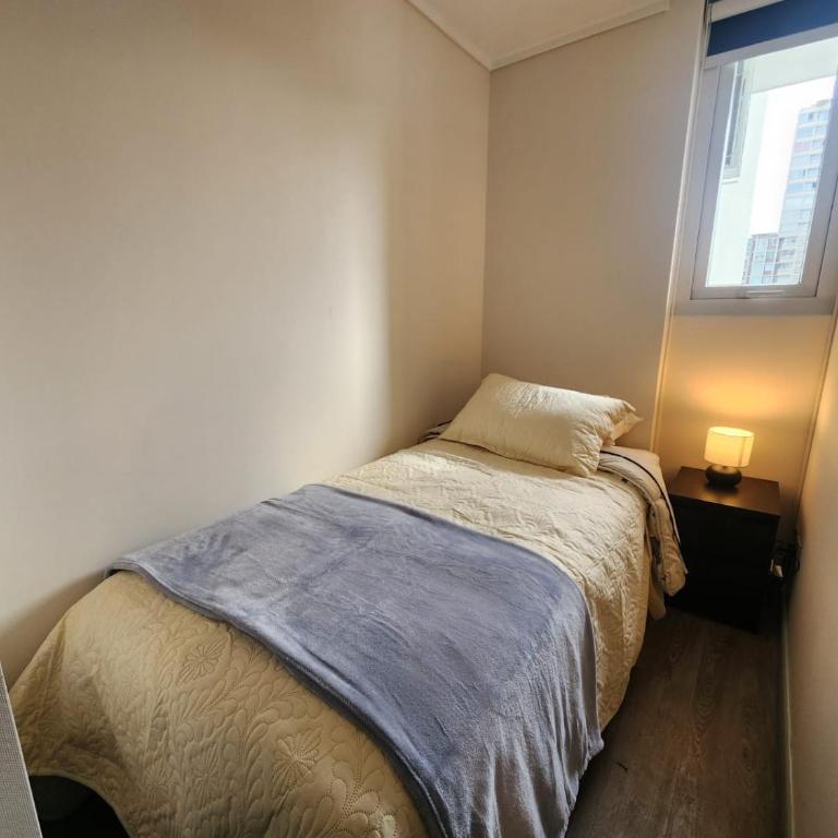 HOM I Nuevo y Moderno Depto 2D2B 3 PAX Santiago - Apartamento - 23