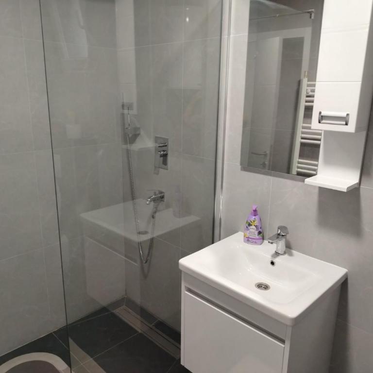 Duša apartman - Apartman sa 1 Spavaćom Sobom - 10