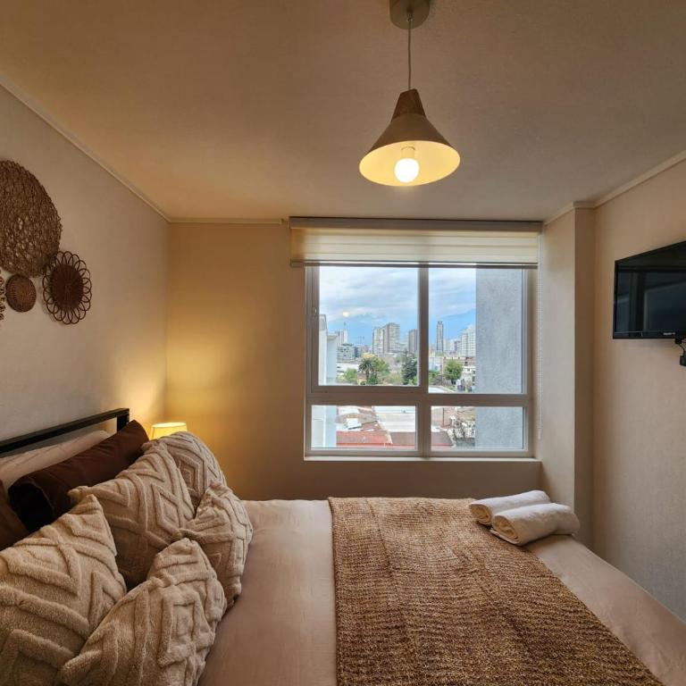 HOM I Comodo y Luminoso Depto 1D1B 2PAX en Tocornal - Apartamento - 1