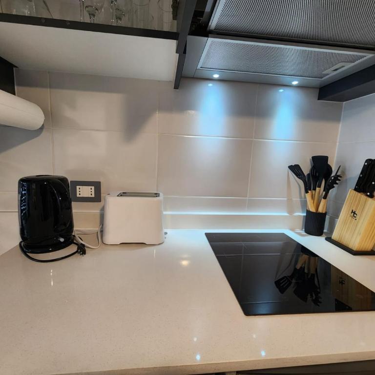 HOM I Comodo y Luminoso Depto 1D1B 2PAX en Tocornal - Apartamento - 30