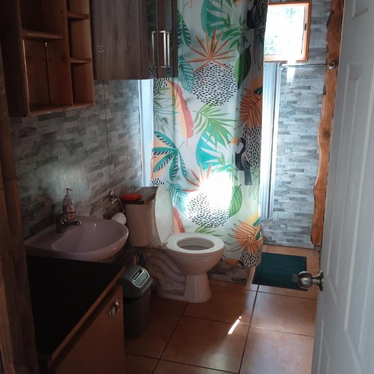Departamento frente a la entrada de los ojos del caburgua - One-Bedroom Apartment - 5