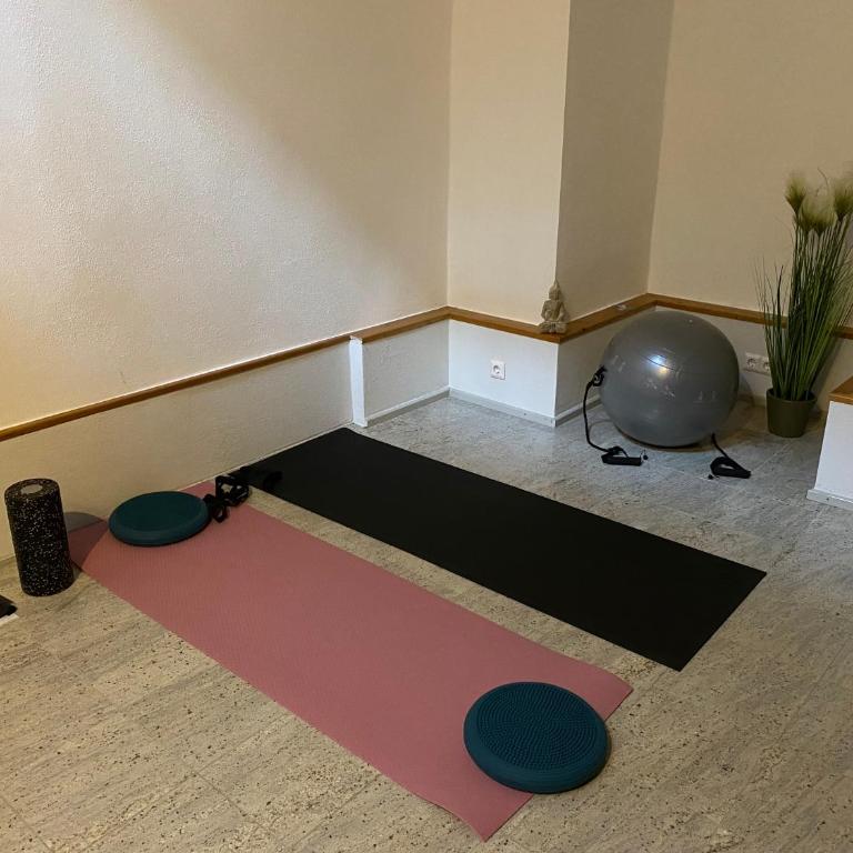 SYMBIOSE-Ferienwohnung - Appartement - Rez-de-Chaussée - 5