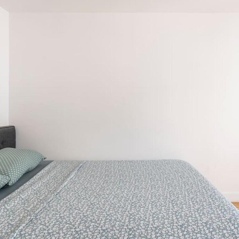 Apt moderne rénové et spacieux, au cœur de Paris - Appartement 1 Chambre - 15