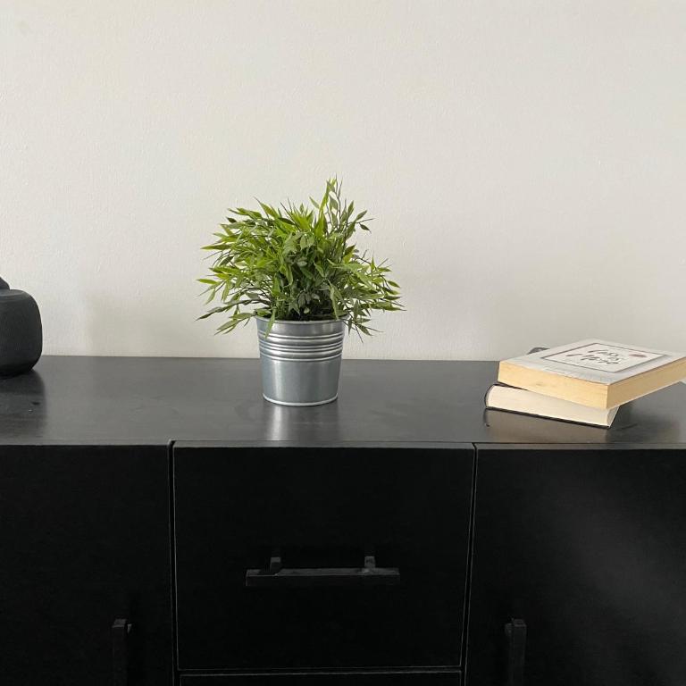 SYMBIOSE-Ferienwohnung - Appartement - Rez-de-Chaussée - 16