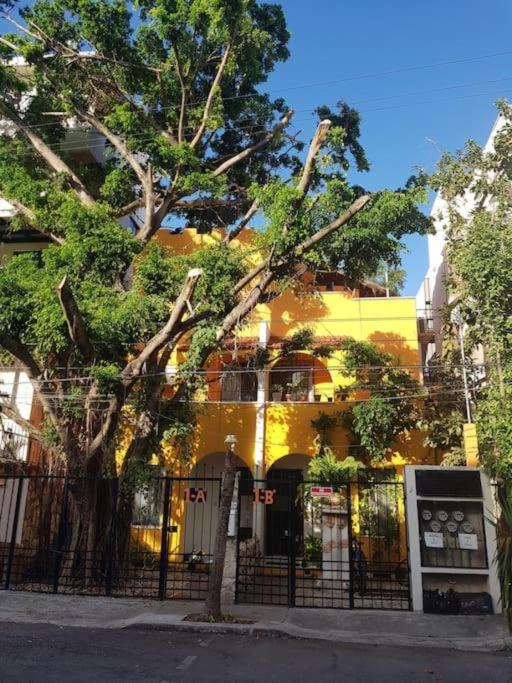 Casa Naranja - Estudio Estándar - 12