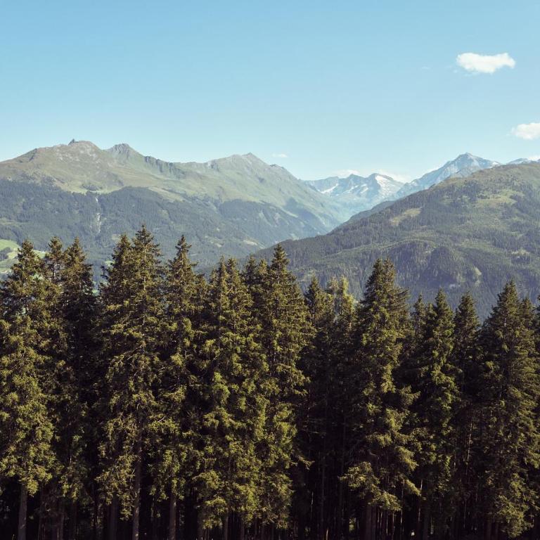 PETER'S - Bergbauernhof mit Weitblick - Apartment mit 2 Schlafzimmern - 81