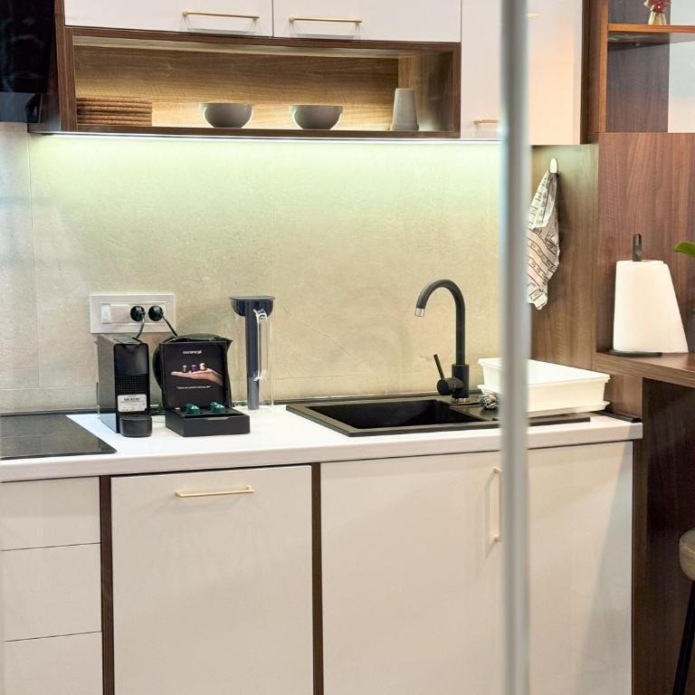 Cetinjska Palace - Apartman sa 2 Spavaće Sobe - 14