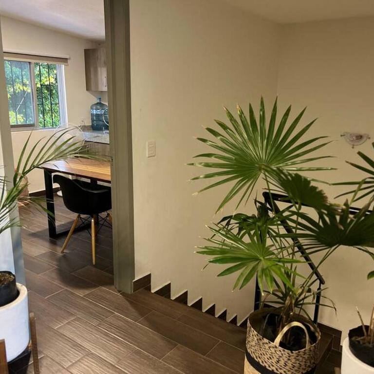 Departamento con Terraza en el Corazón Guadalajara - Apartamento de 3 dormitorios - 17