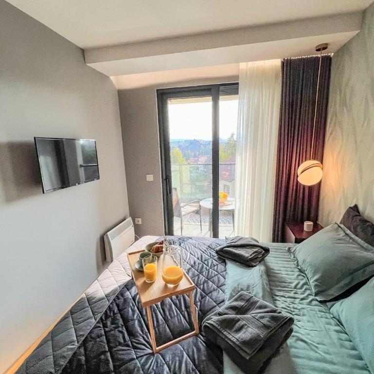 Happy Dreams Spa 3 - Apartman sa 1 Spavaćom Sobom - 15