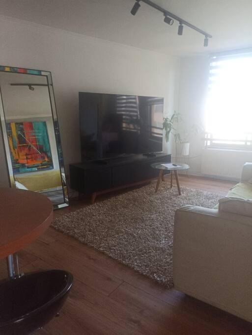 Lindo y comodo dpto en el corazon de stgo , al lado de metro Baquedano 1001 - Apartamento de 2 dormitorios - 2