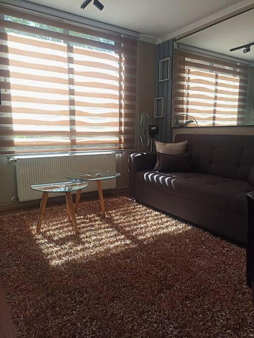 Acogedor y tranquilo 308 - Apartamento de 1 dormitorio - 11